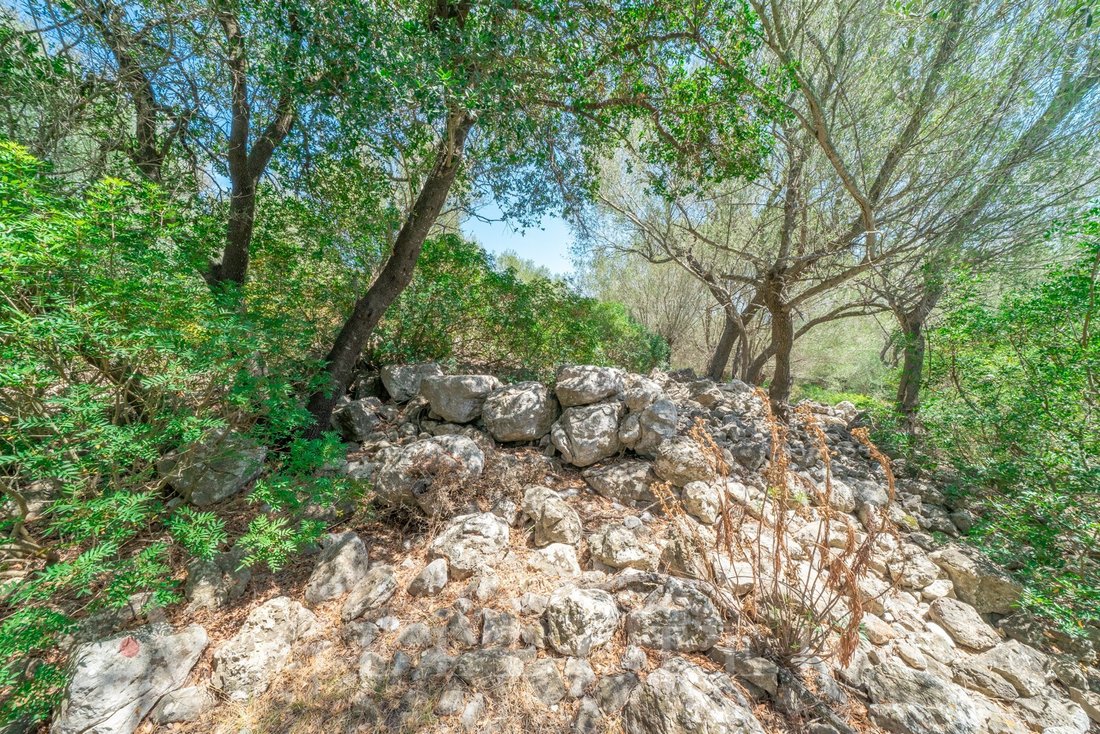 Land in Alcudia, Balearic Islands, Spain 3 - 12275891