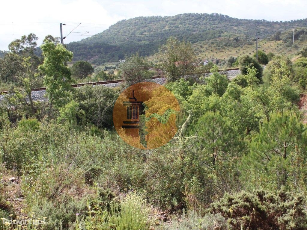 Estate in Sao Bartolomeu de Messines, Algarve, Portugal 5 - 11743859