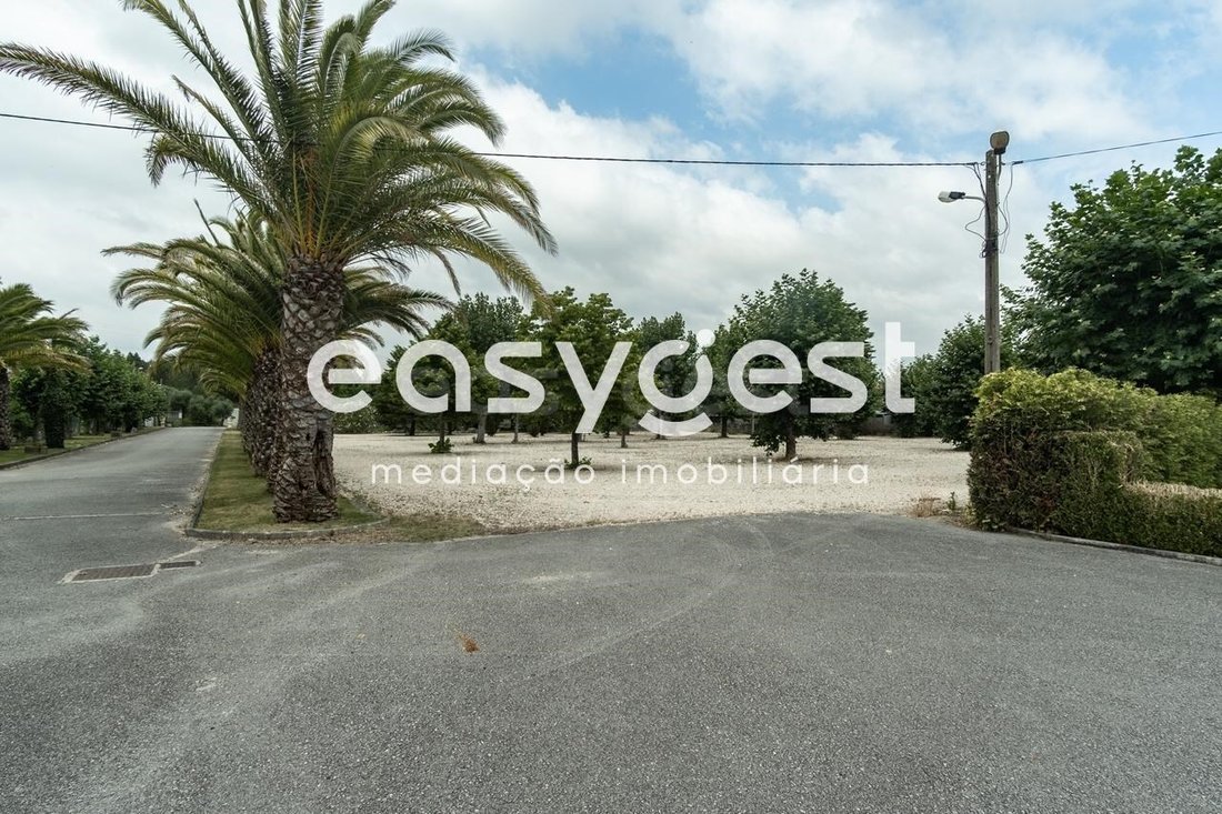 Finca in Cantanhede e Pocarica, Coimbra District, Portugal 5 - 11166610