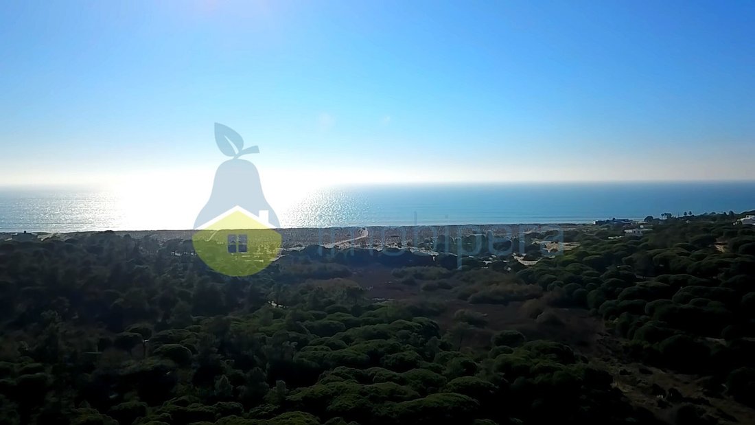 Land in Olhos de Agua, Algarve, Portugal 5 - 16502798