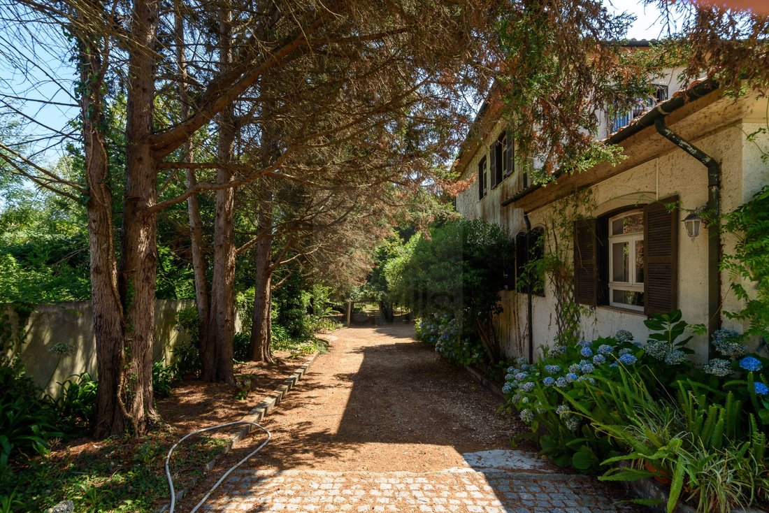 House in Arcozelo, Porto District, Portugal 3 - 15988016