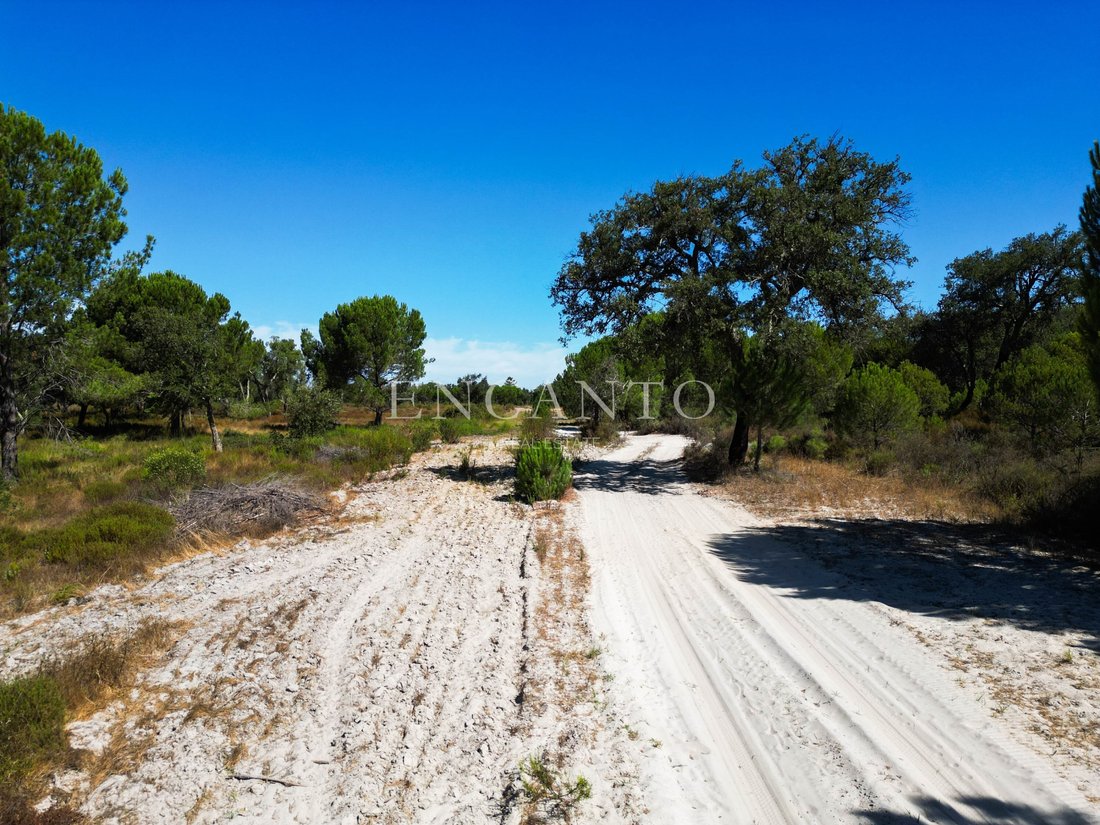 Estate in Setubal, Setubal, Portugal 5 - 16328829