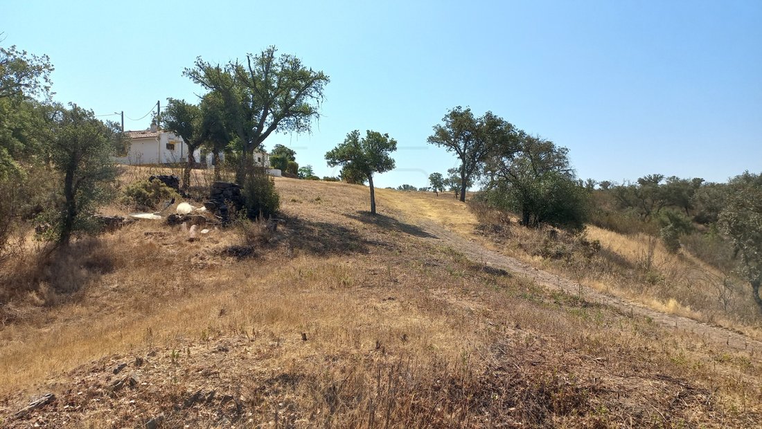 Finca in Ourique, Beja District, Portugal 5 - 16195874
