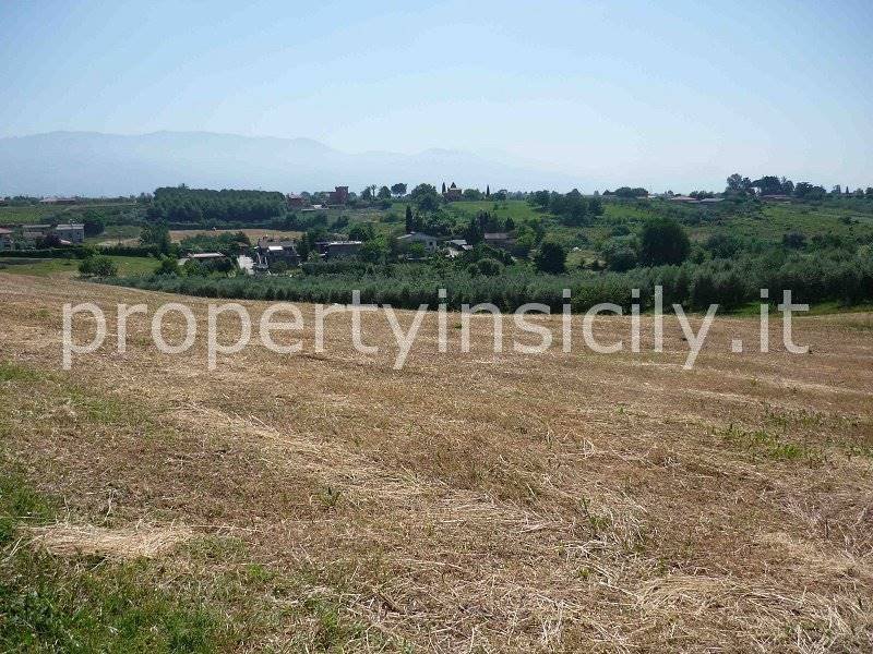 Land in Via Appia Sud - Pratolungo - Carbonara, Velletri, Lazio 3 - 16723399