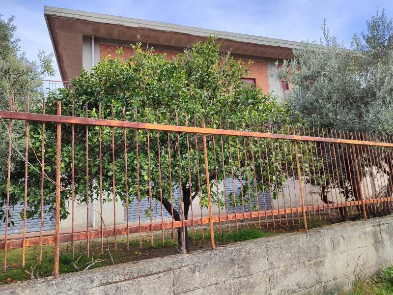 Satriano, Calabria, Italy 4 - 16722966