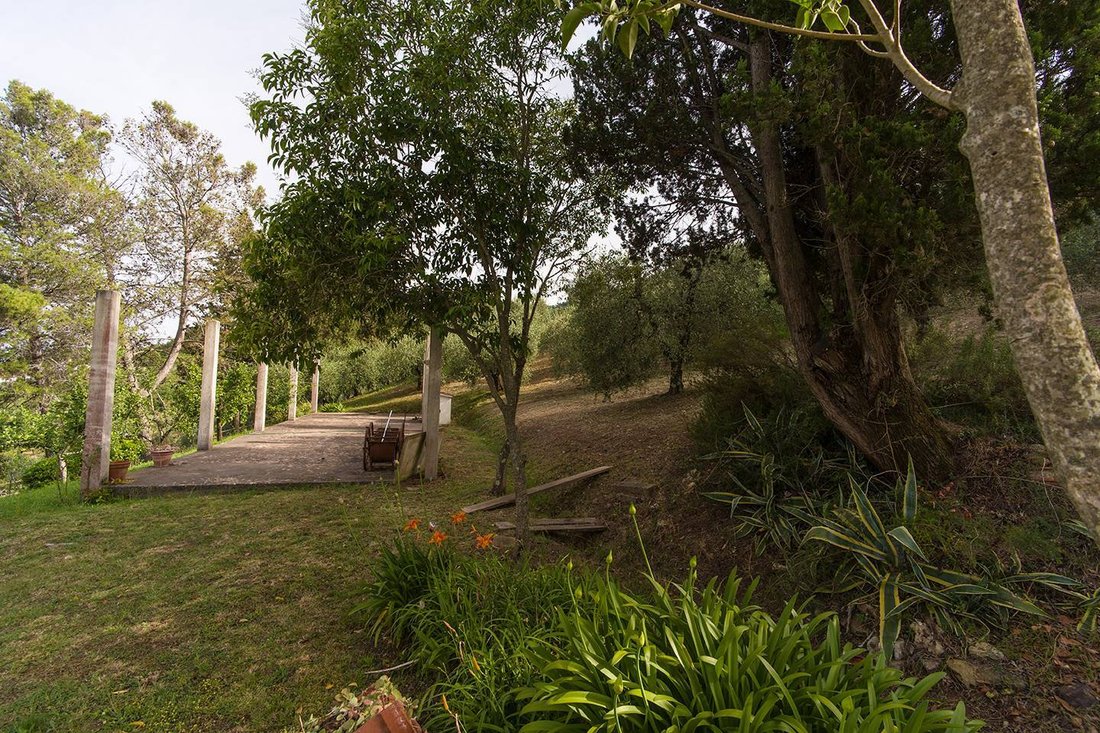 Villa in Colognole, Collesalvetti, Tuscany 2 - 16722244