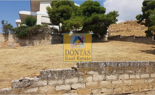 Land in Penteli, Attika, Griechenland 1