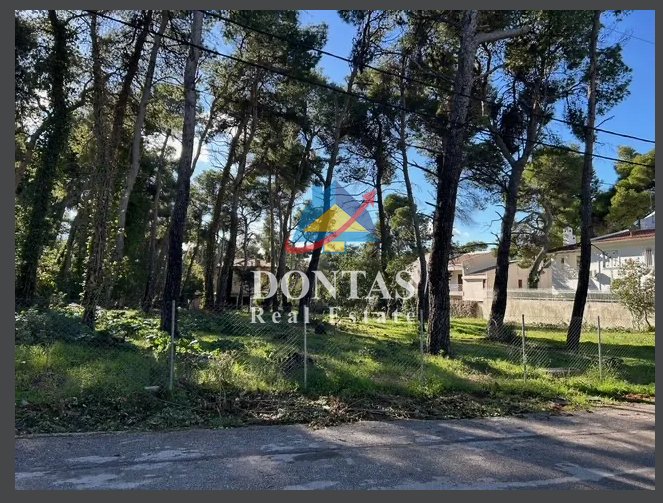 Land in Ekali, Attica, Greece 4 - 16727580