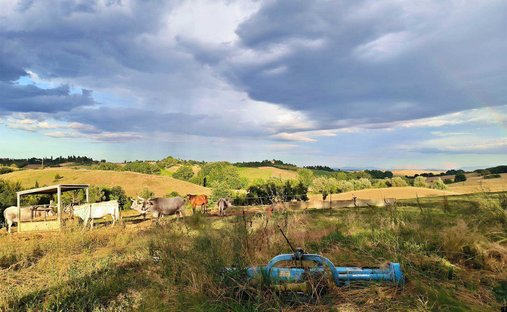 Castle for Sale in Casa Vannini, Tuscany, Italy