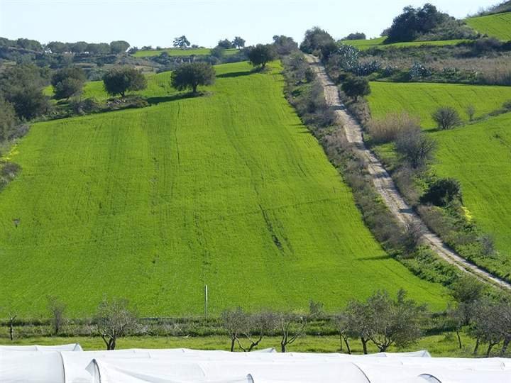 Land in Riserva di Vendicari - Marzamemi - San Lorenzo, Noto, Sizilien 5 - 16722354