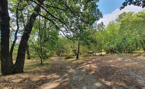 Castle for Sale in Viterbo, Lazio, Italy