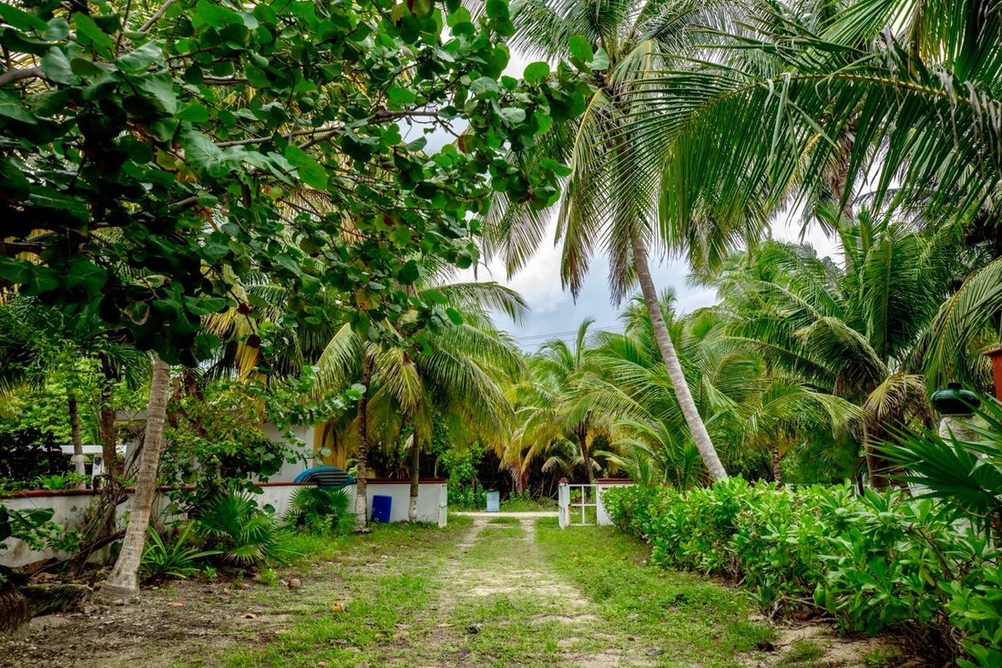 Terreno a Puerto Morelos, Quintana Roo, Messico 3 - 16726307