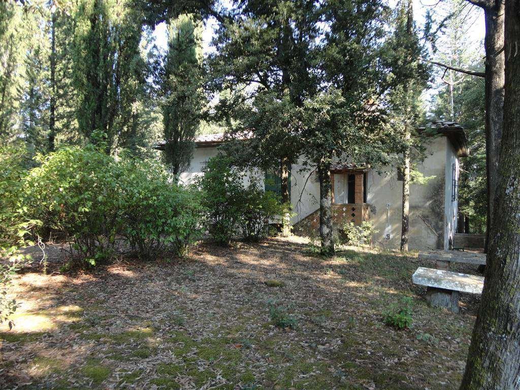 Farm Ranch in San Gimignano, Tuscany, Italy 4 - 16722476