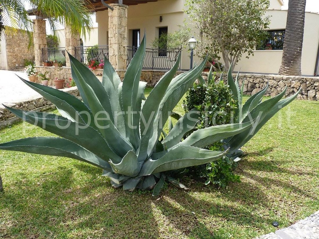 Villa in Monte - Villa Marina Zone, Augusta, Sicily 5 - 16723084