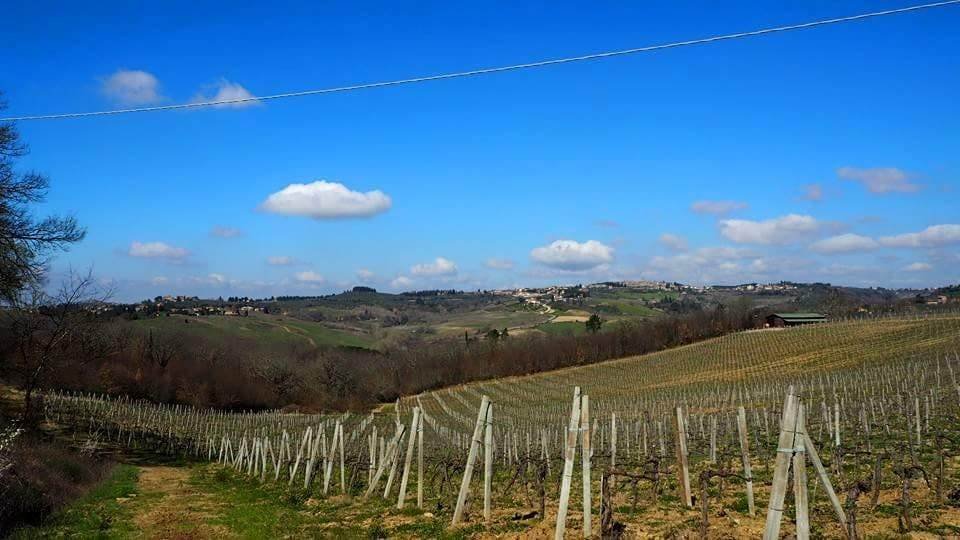 Sambuca - San Donato in Poggio, Tavarnelle Val di Pesa, Tuscany 2 - 16723786