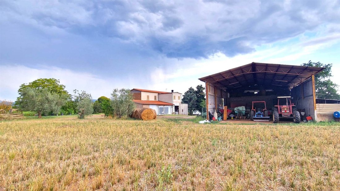 Land in Castel d'Asso, Viterbo, Lazio 1 - 16722278
