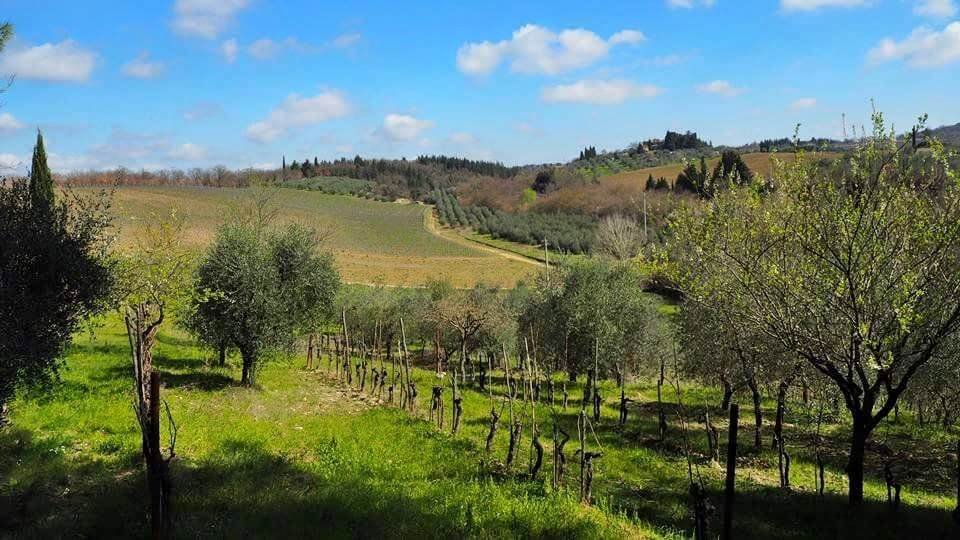 Sambuca - San Donato in Poggio, Tavarnelle Val di Pesa, Tuscany 4 - 16723786