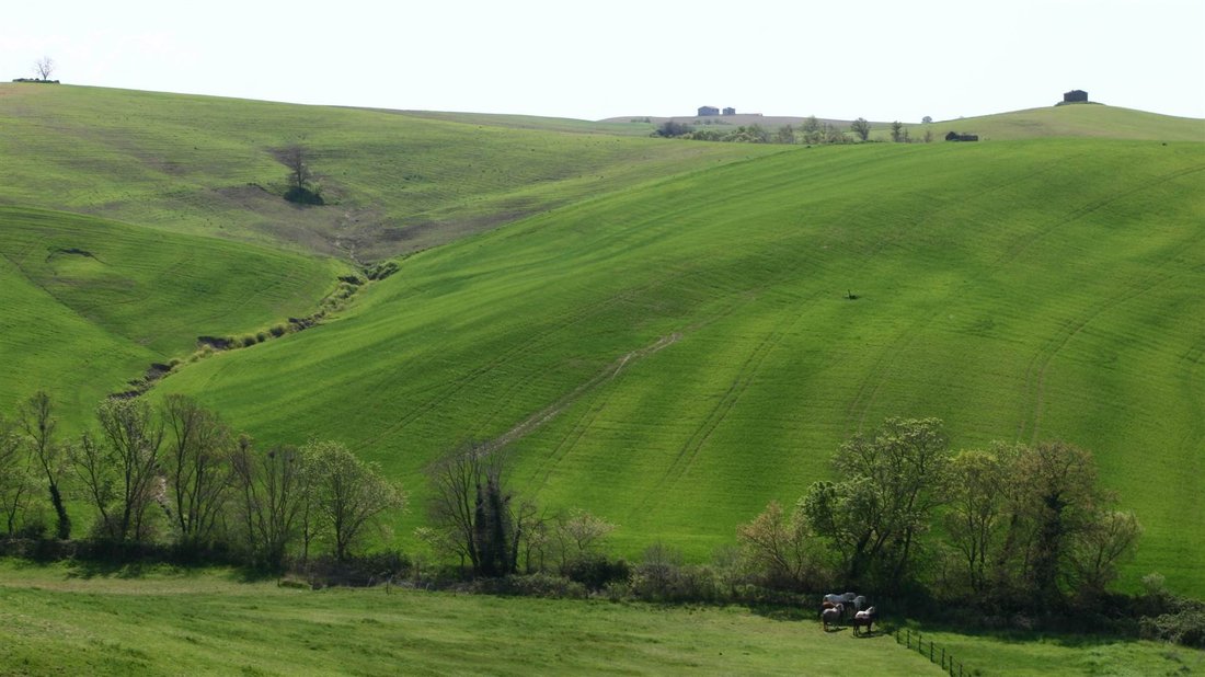 Tuscania, Lazio, Italy 3 - 16722425