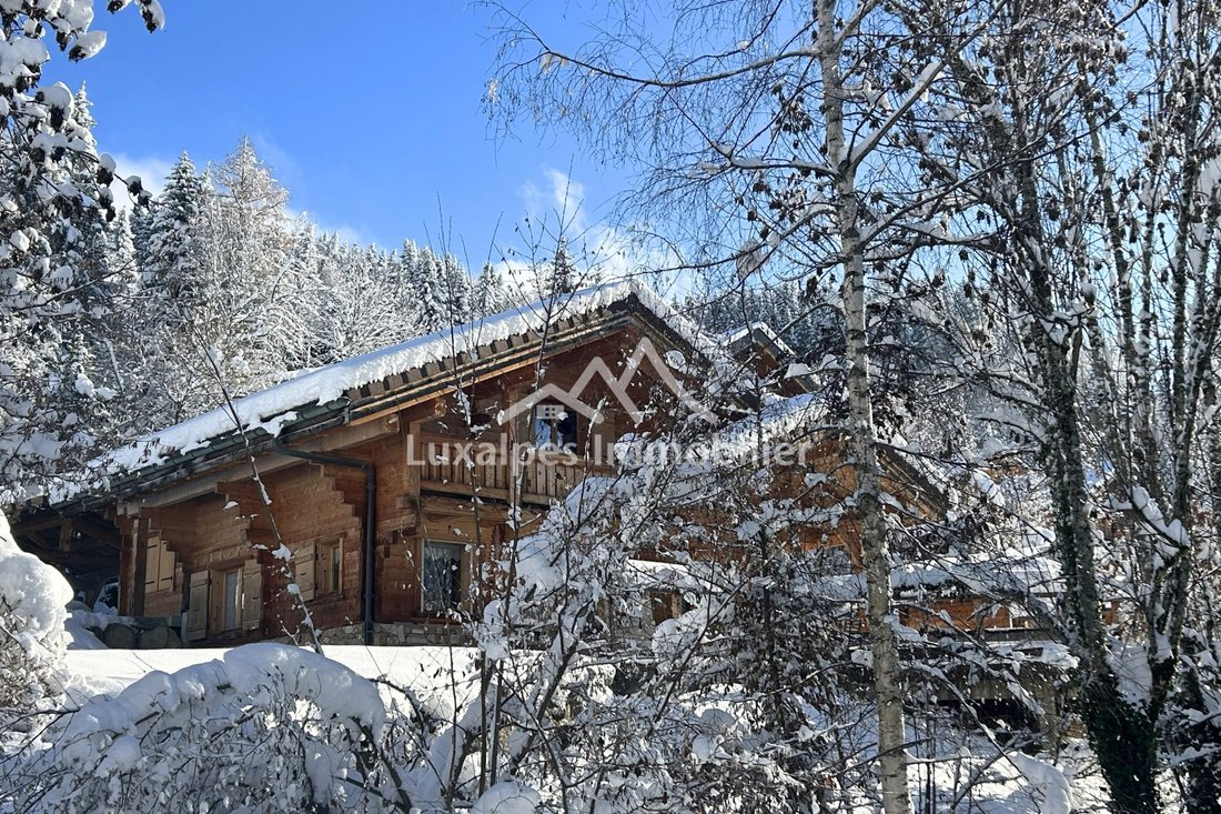 Chalet in Saint-Jean-de-Sixt, Auvergne-Rhône-Alpes, France 1 - 16581573