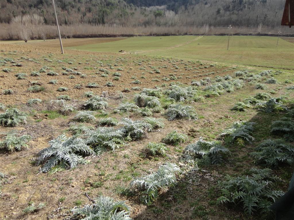 Farm Ranch in Certaldo, Tuscany, Italy 2 - 16722707