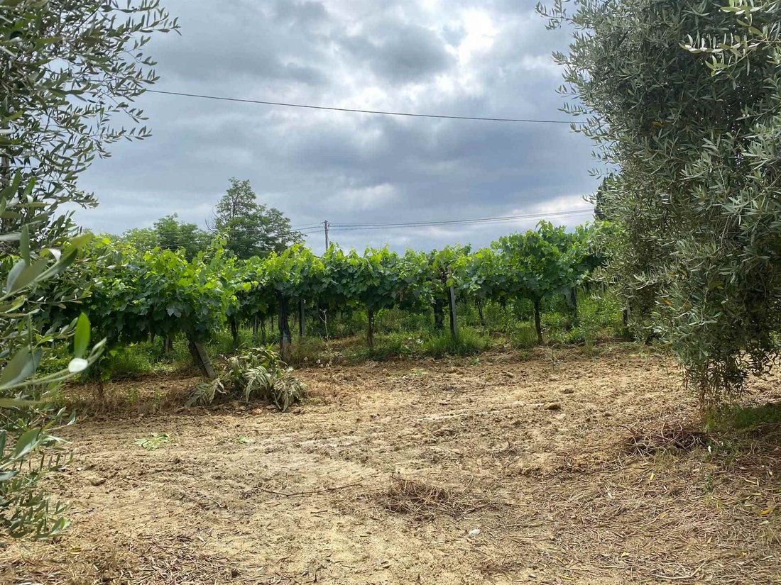Farm Ranch in San Gimignano, Tuscany, Italy 4 - 16721882