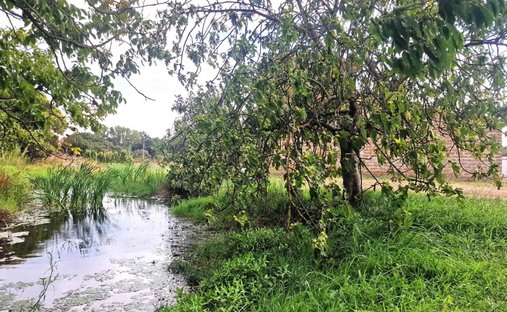 Castle for Sale in Viterbo, Lazio, Italy