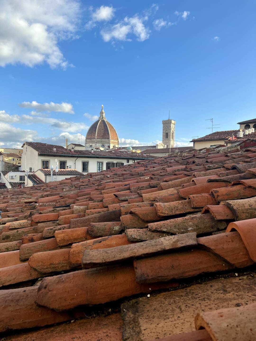 Apartment in Center, Florence, Tuscany 5 - 16723462