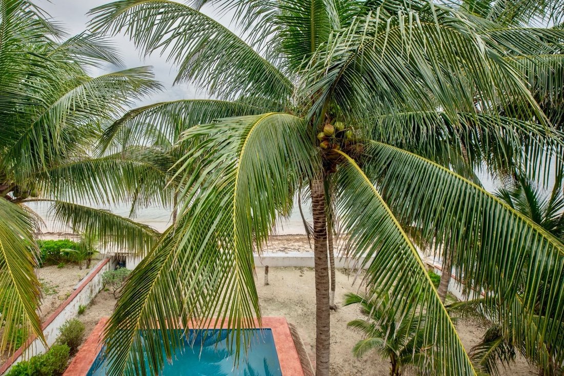 Terreno a Puerto Morelos, Quintana Roo, Messico 1 - 16726307