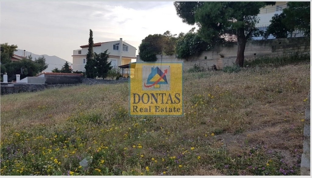 Land in Penteli, Attica, Greece 4 - 16727590