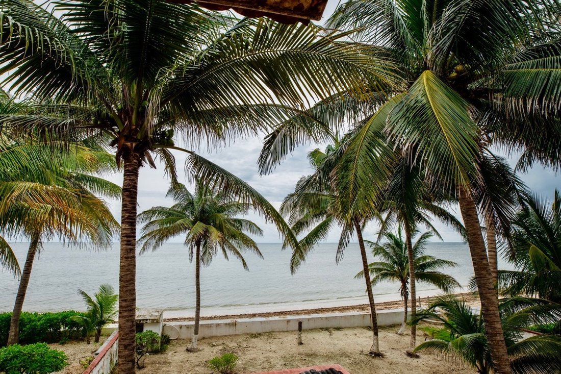 Terreno a Puerto Morelos, Quintana Roo, Messico 5 - 16726307