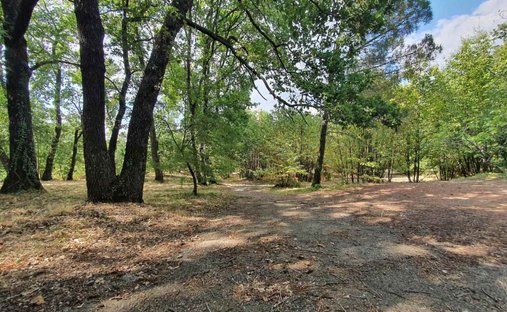 Castle for Sale in Viterbo, Lazio, Italy