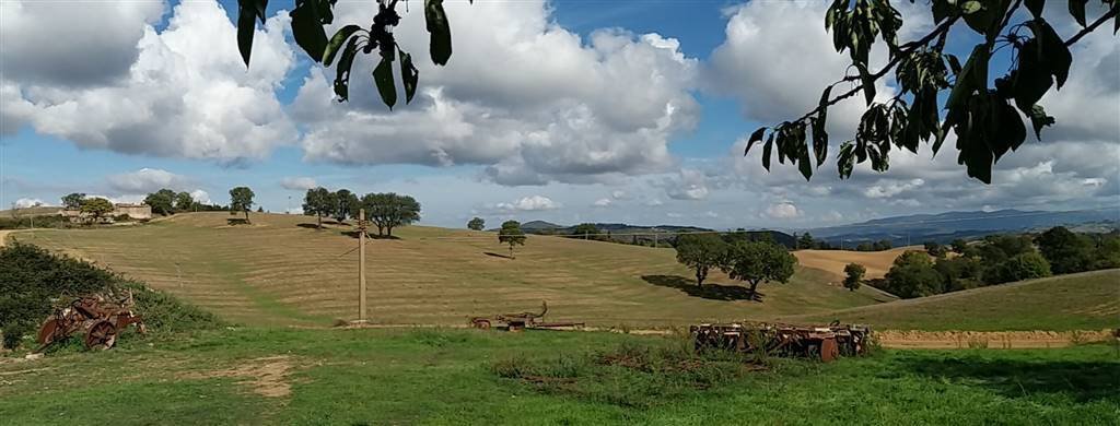 Land in Scansano, Tuscany, Italy 1 - 16723101