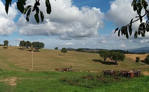 Land in Scansano, Tuscany, Italy 1