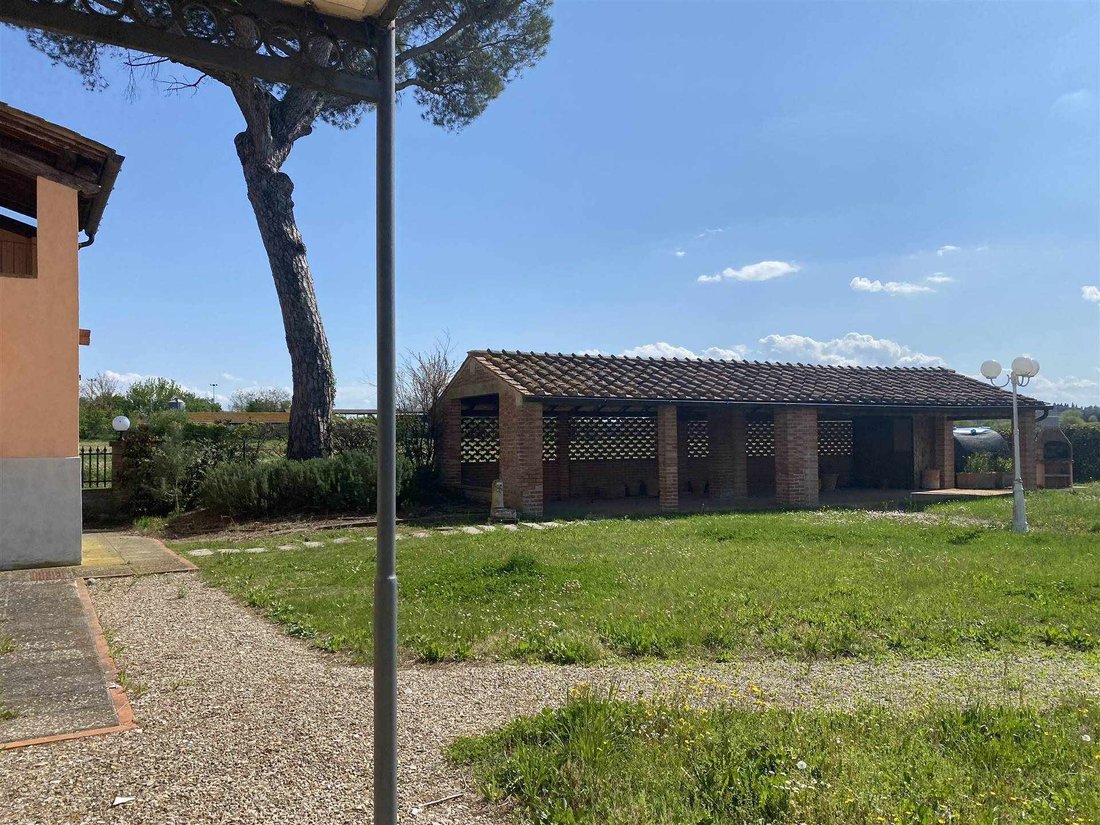 Montecchio - San Lorenzo - Creti, Cortona, Tuscany 4 - 16723131