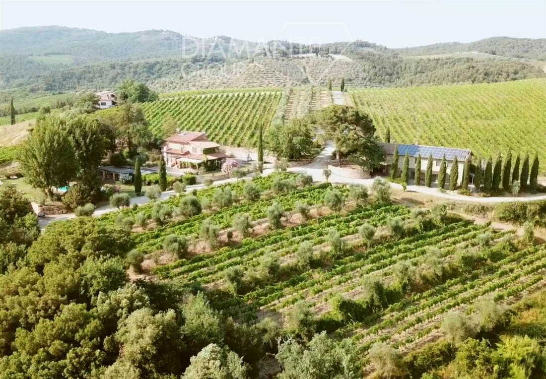 Castelnuovo Berardenga, Tuscany, Italy 4 - 16725023