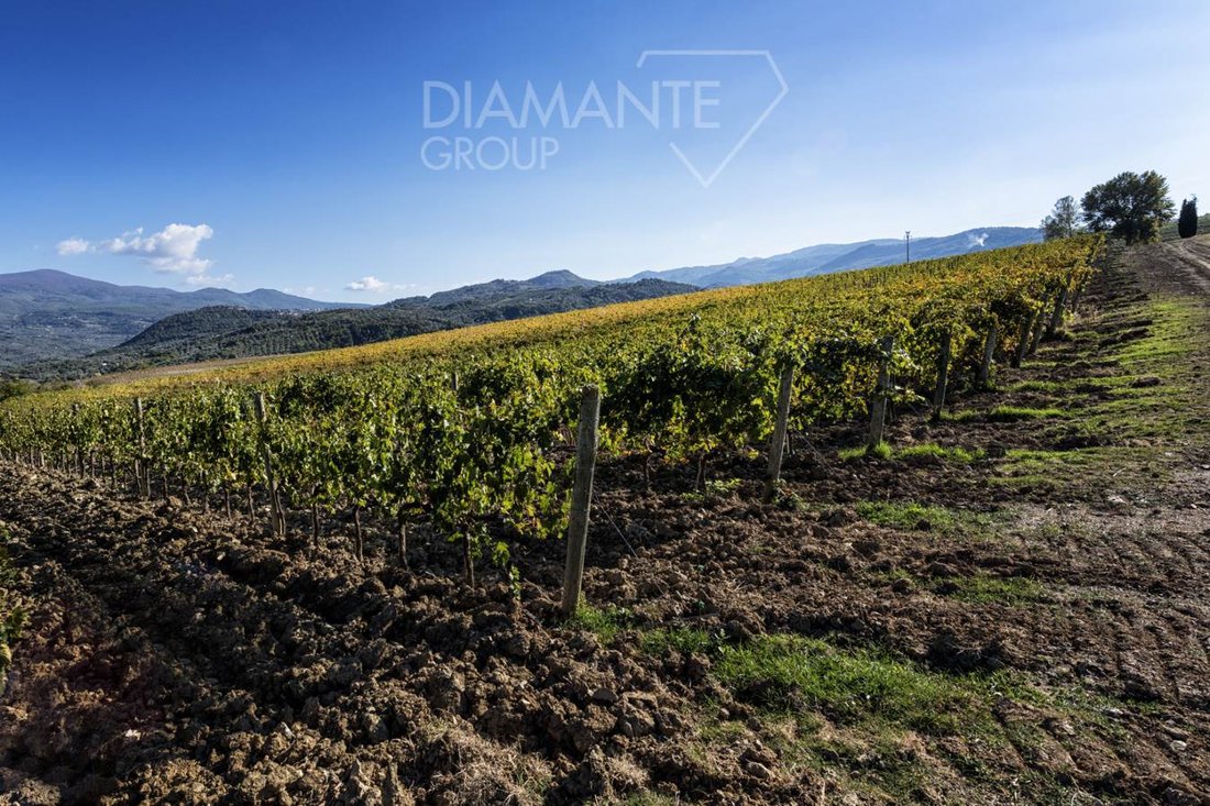 Farm Ranch in Castel del Piano, Tuscany, Italy 3 - 16725115
