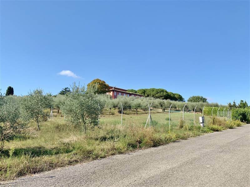 Villa in Castiglione del Lago, Umbria, Italy 5 - 16724093
