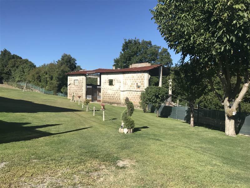 Farm Ranch in Paganico, Tuscany, Italy 5 - 16724218