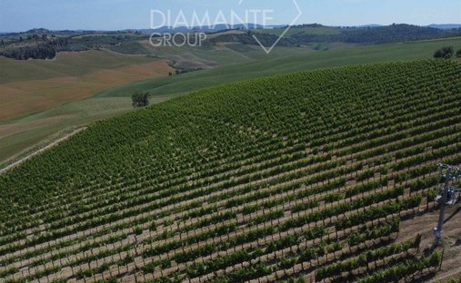 Castle To Be Renovated For Sale In Montalcino, Valdorcia