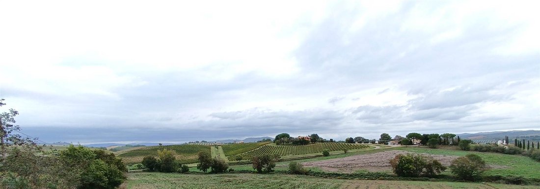Farm Ranch in Magliano in Toscana, Tuscany, Italy 2 - 16722288