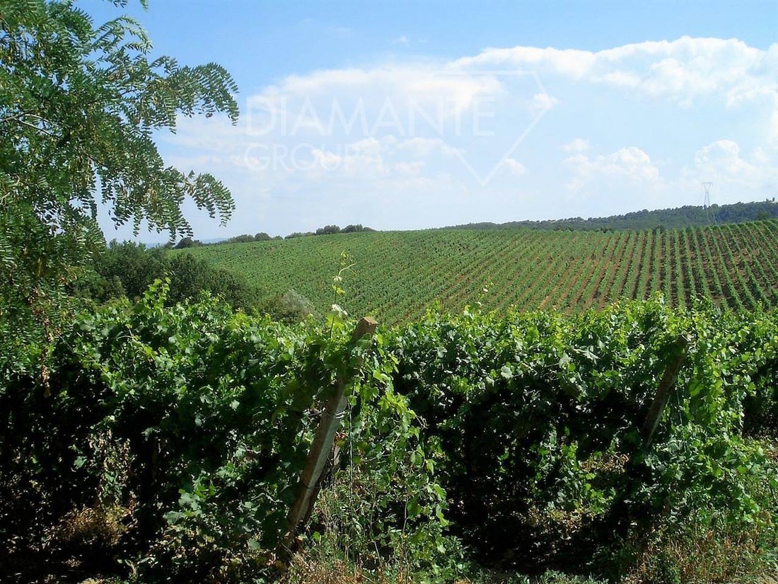 Farm Ranch in San Gimignano, Tuscany, Italy 4 - 16724108