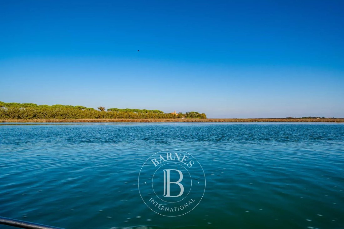 Estate in Burano - Torcello - Mazzorbo, Venice, Italy 5 - 16725811