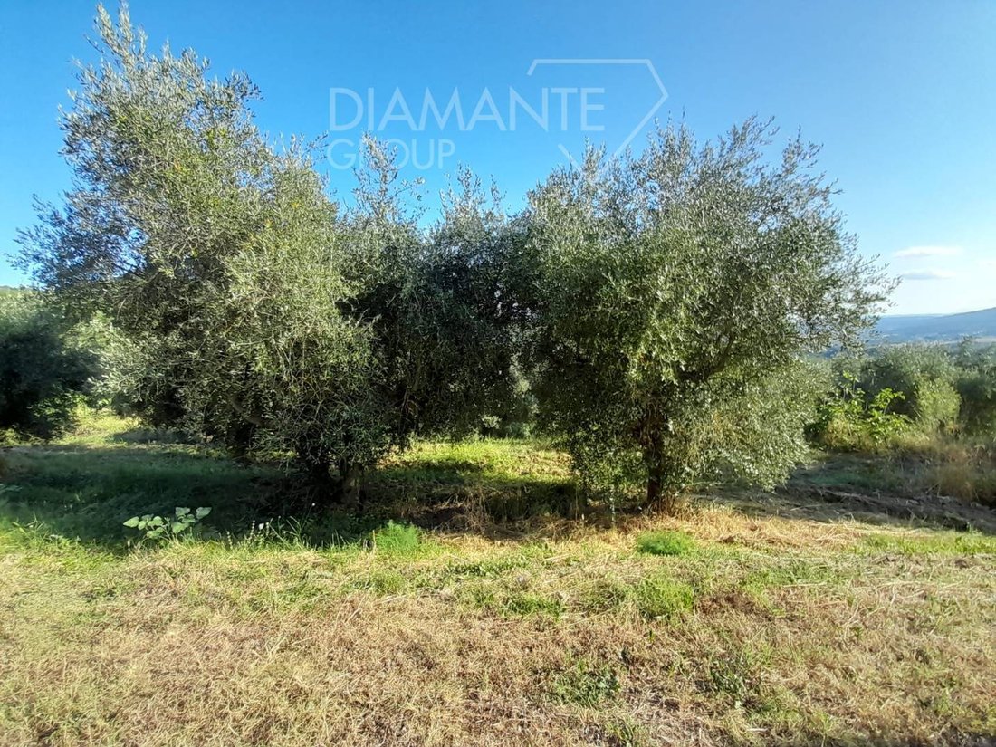 Farm Ranch in Panicale, Umbria, Italy 2 - 16725132
