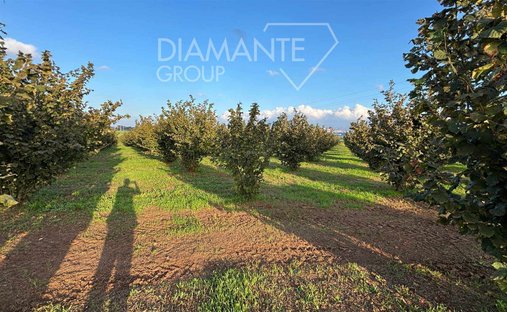 Castle for Sale in Viterbo, Lazio, Italy