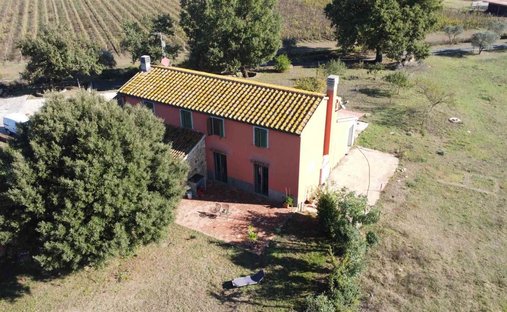 Azienda agricola a Gavorrano, Toscana, Italia 1