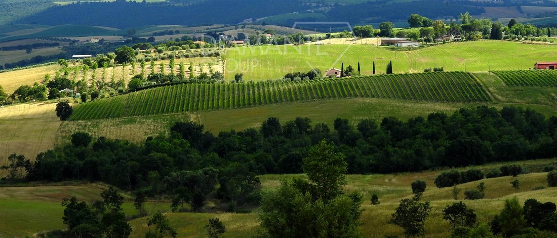 Otros en Scansano, Toscana, Italia 3 - 16725122