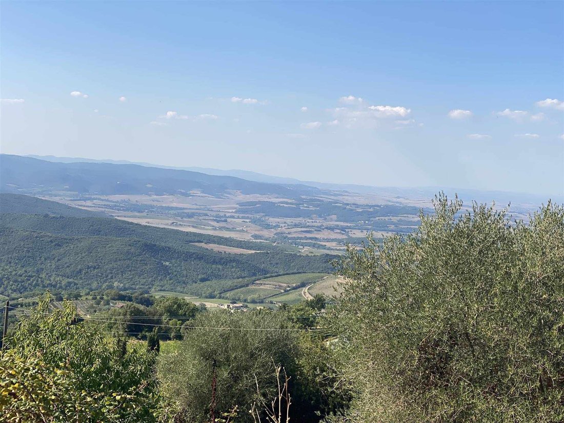 Montalcino, Tuscany, Italy 4 - 16723468