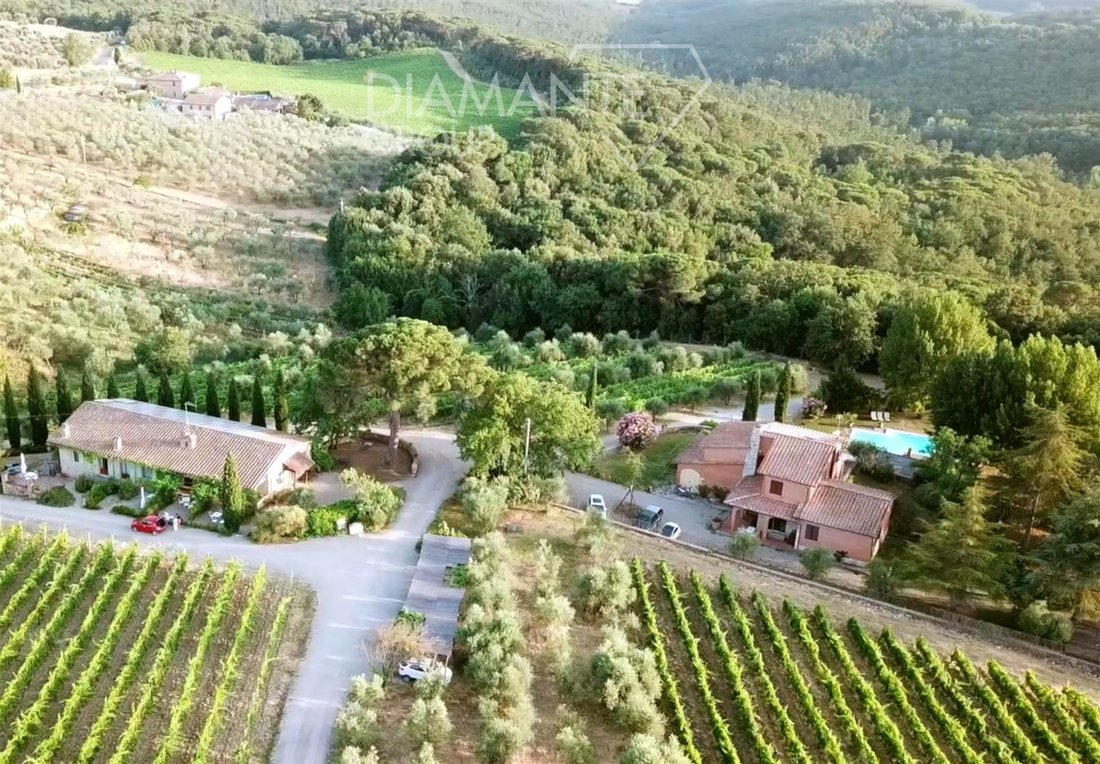 Castelnuovo Berardenga, Tuscany, Italy 5 - 16725023