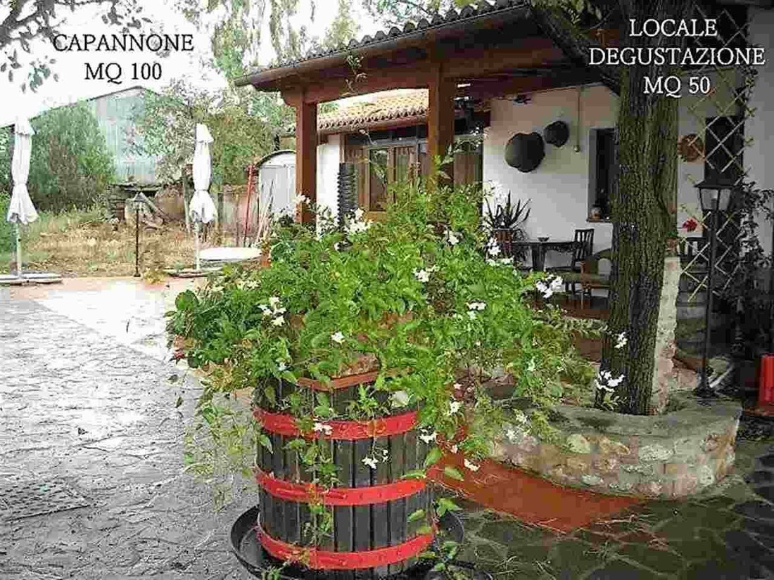 Farm Ranch in Roccastrada, Tuscany, Italy 5 - 16722776