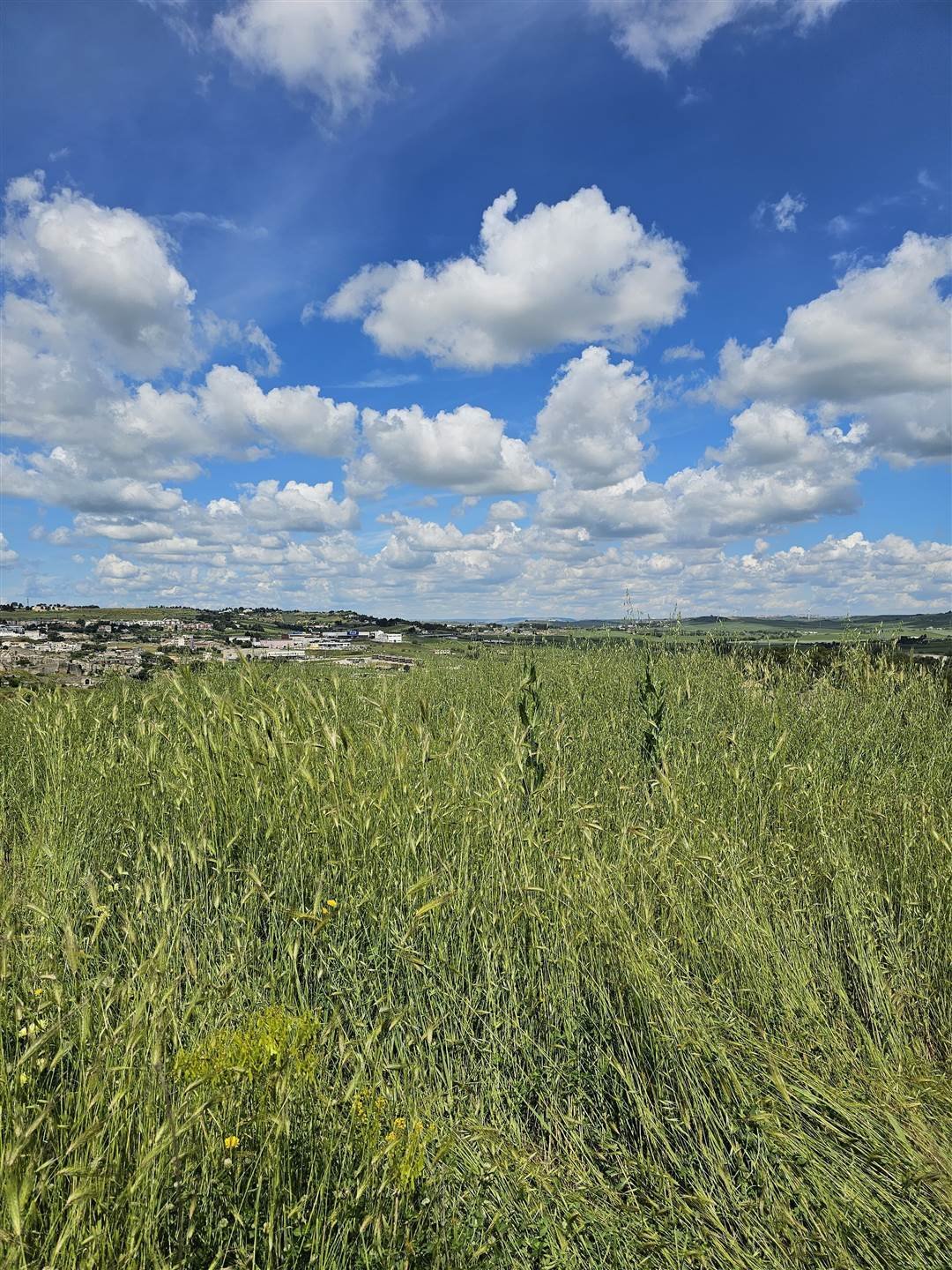 Terreno a Piccianello, Matera, Italia 5 - 16722221